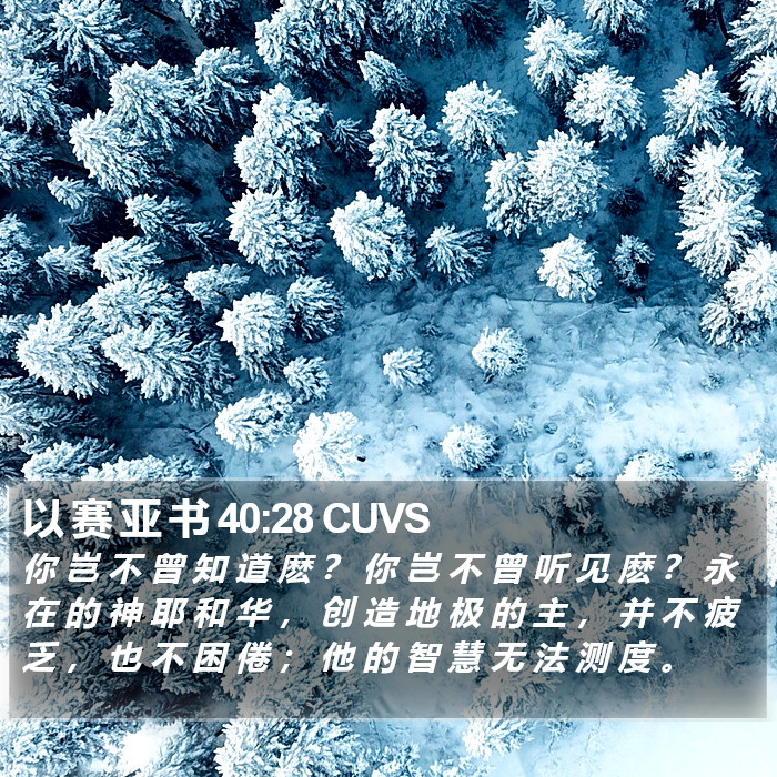 以 赛 亚 书 40:28 CUVS Bible Study