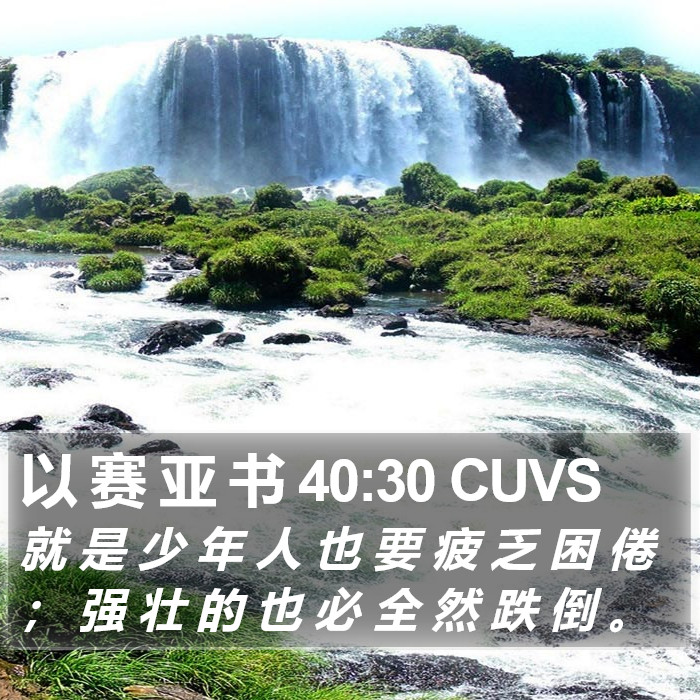 以 赛 亚 书 40:30 CUVS Bible Study