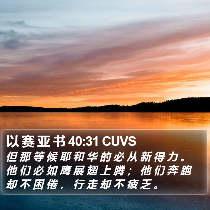 以 赛 亚 书 40:31 CUVS Bible Study