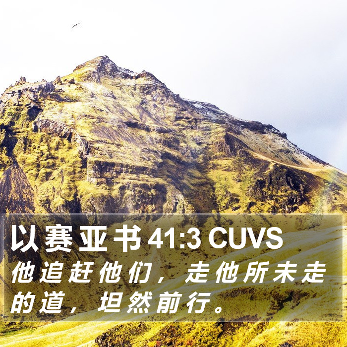 以 赛 亚 书 41:3 CUVS Bible Study