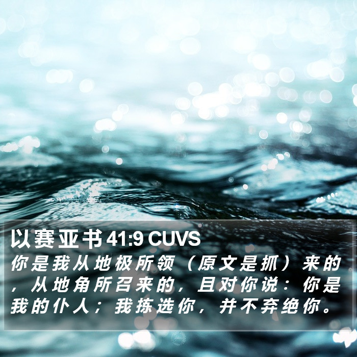 以 赛 亚 书 41:9 CUVS Bible Study