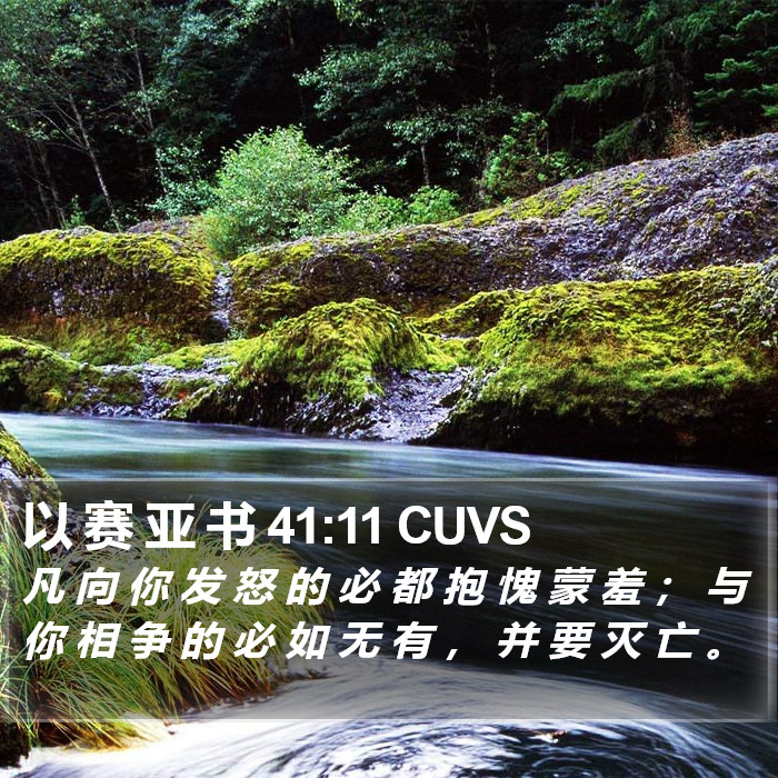 以 赛 亚 书 41:11 CUVS Bible Study