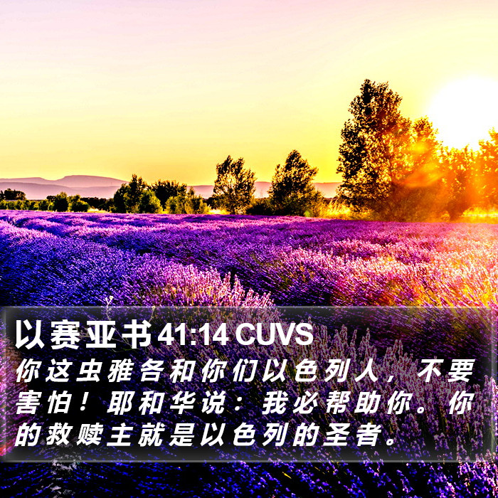 以 赛 亚 书 41:14 CUVS Bible Study