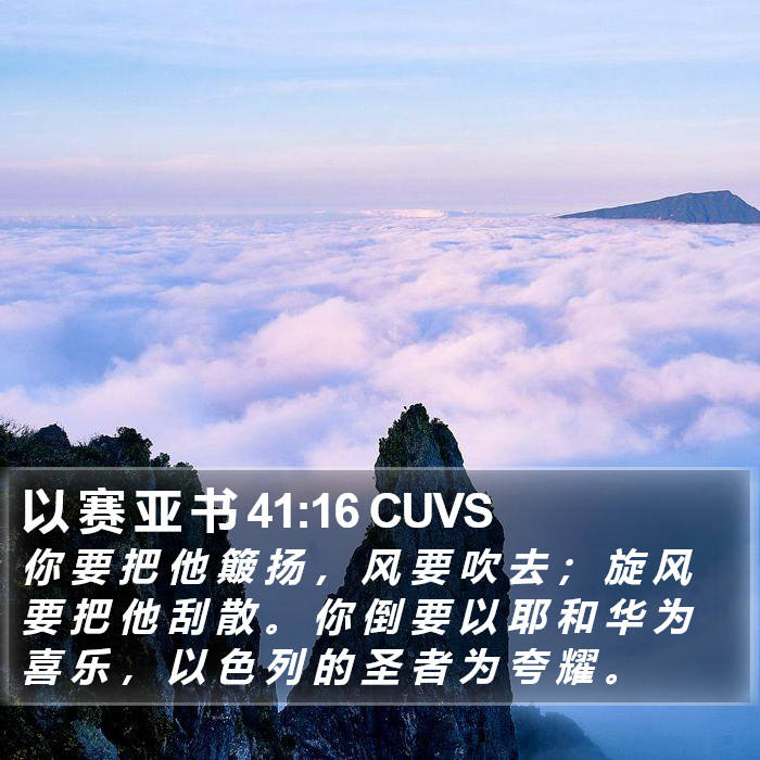 以 赛 亚 书 41:16 CUVS Bible Study