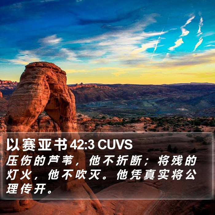 以 赛 亚 书 42:3 CUVS Bible Study