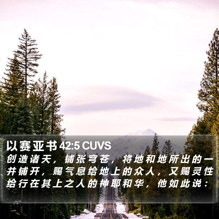 以 赛 亚 书 42:5 CUVS Bible Study