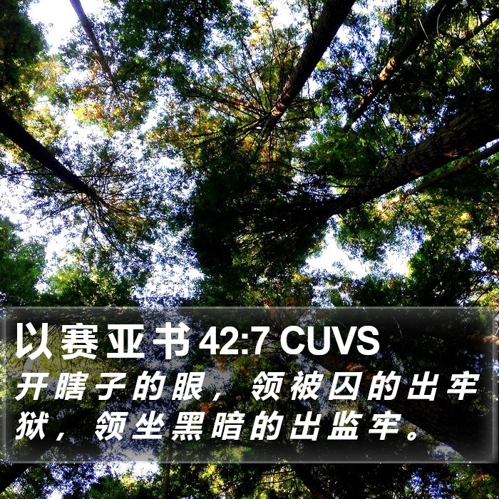 以 赛 亚 书 42:7 CUVS Bible Study