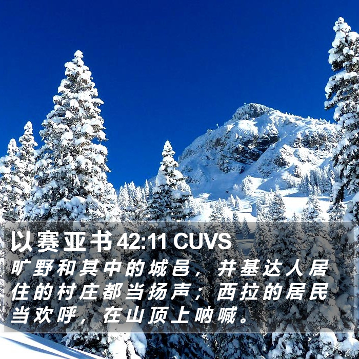 以 赛 亚 书 42:11 CUVS Bible Study