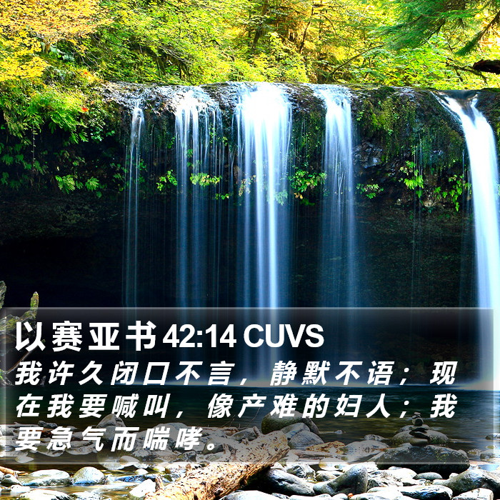 以 赛 亚 书 42:14 CUVS Bible Study