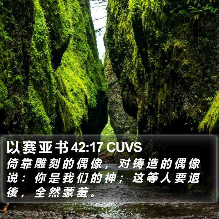 以 赛 亚 书 42:17 CUVS Bible Study