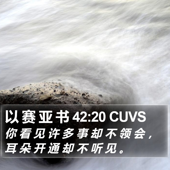 以 赛 亚 书 42:20 CUVS Bible Study