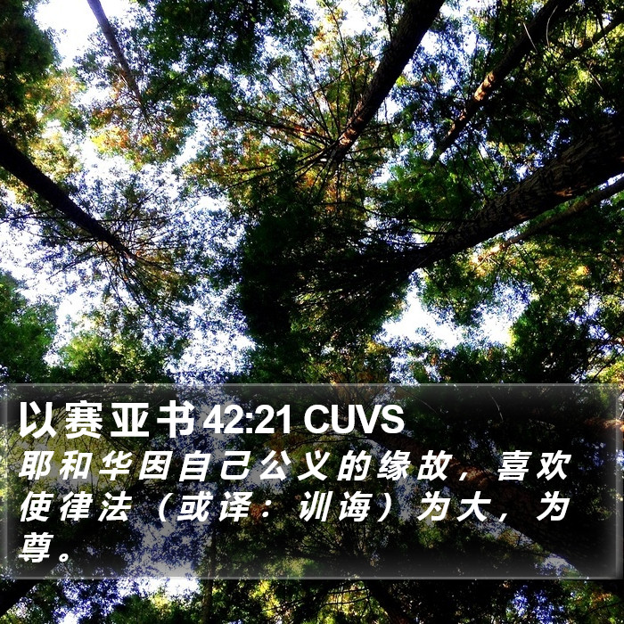 以 赛 亚 书 42:21 CUVS Bible Study