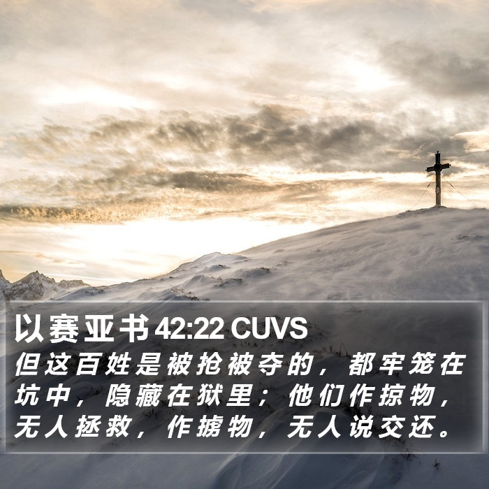 以 赛 亚 书 42:22 CUVS Bible Study