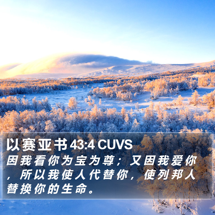 以 赛 亚 书 43:4 CUVS Bible Study