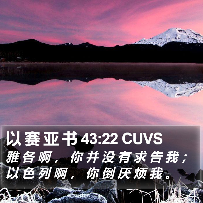 以 赛 亚 书 43:22 CUVS Bible Study