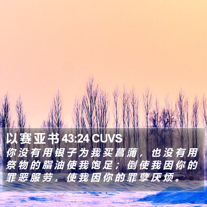 以 赛 亚 书 43:24 CUVS Bible Study
