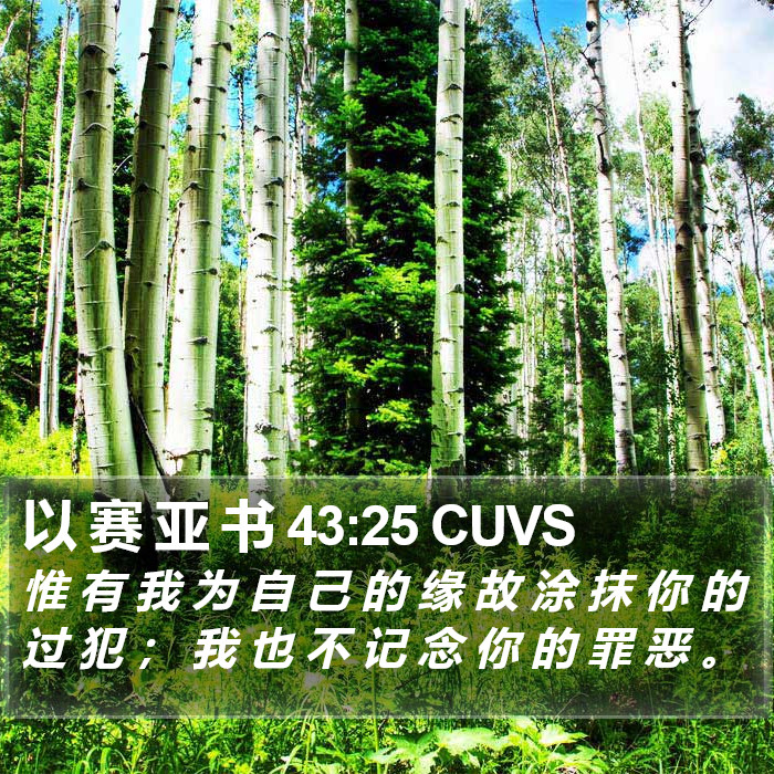 以 赛 亚 书 43:25 CUVS Bible Study