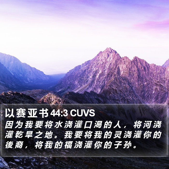 以 赛 亚 书 44:3 CUVS Bible Study