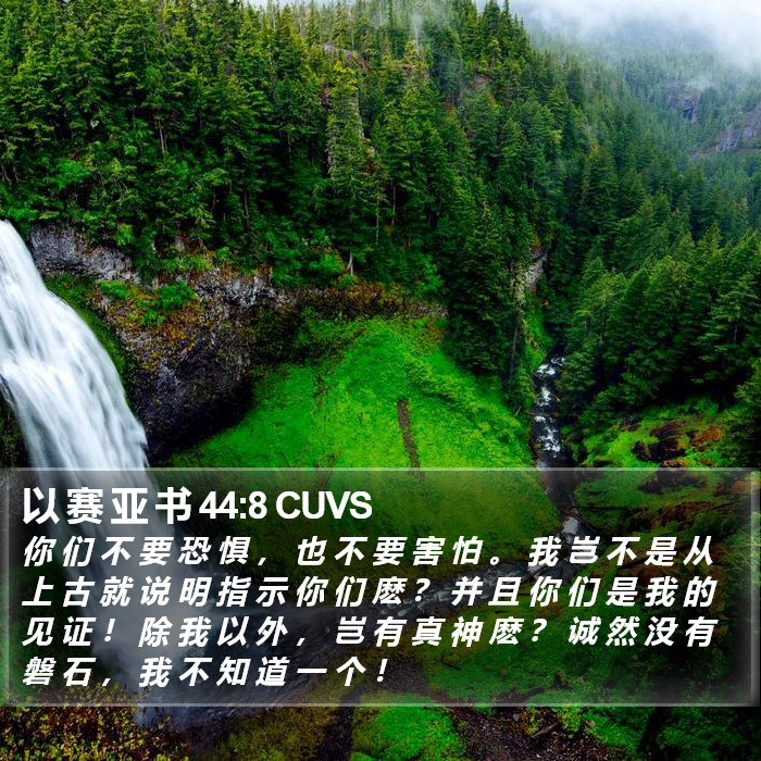 以 赛 亚 书 44:8 CUVS Bible Study