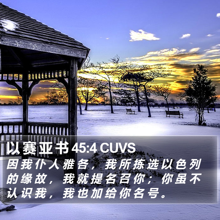 以 赛 亚 书 45:4 CUVS Bible Study