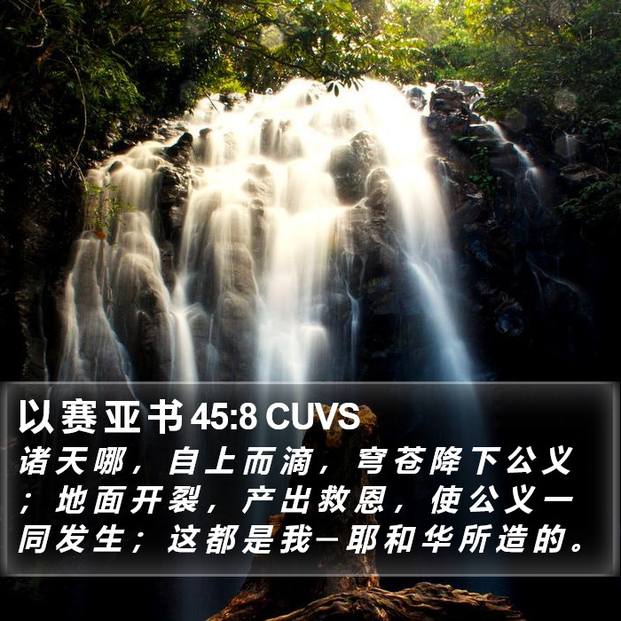 以 赛 亚 书 45:8 CUVS Bible Study