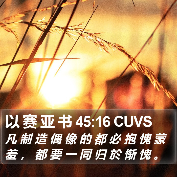 以 赛 亚 书 45:16 CUVS Bible Study