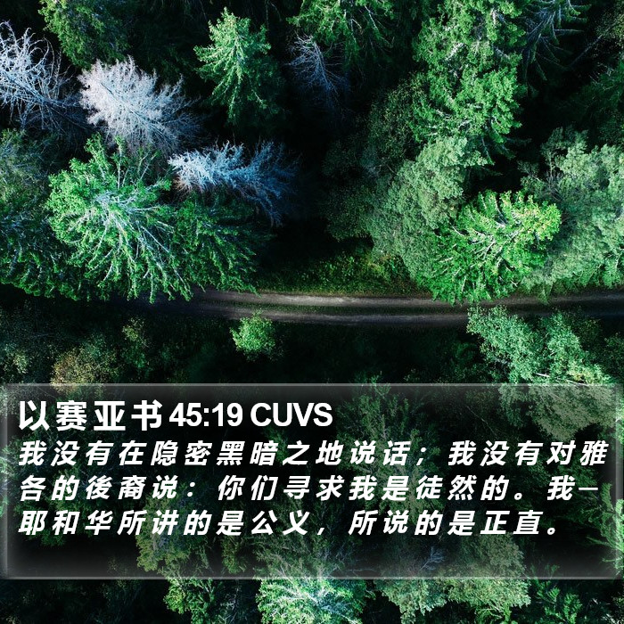 以 赛 亚 书 45:19 CUVS Bible Study