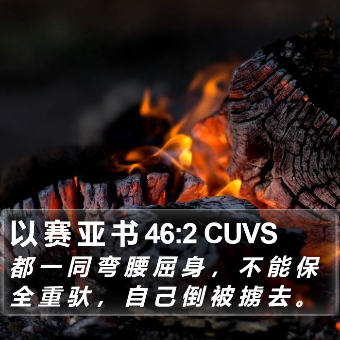 以 赛 亚 书 46:2 CUVS Bible Study