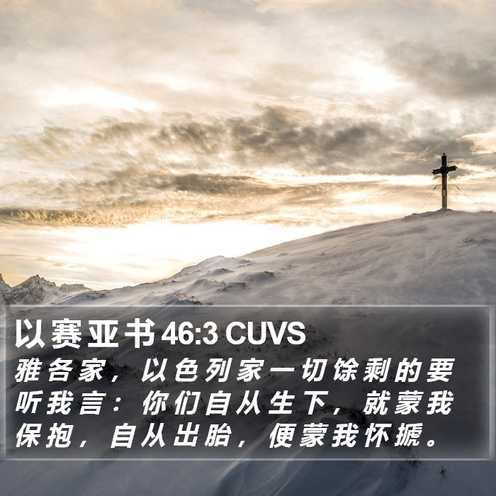 以 赛 亚 书 46:3 CUVS Bible Study