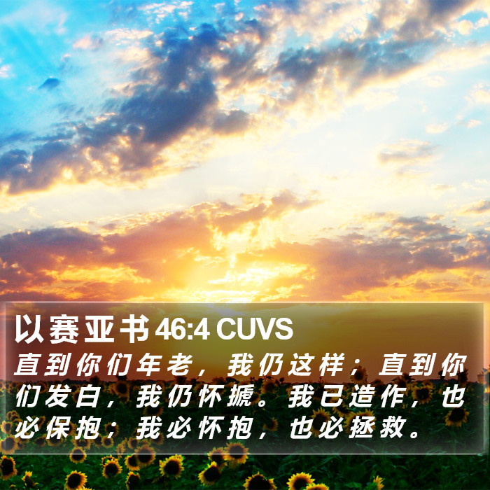 以 赛 亚 书 46:4 CUVS Bible Study