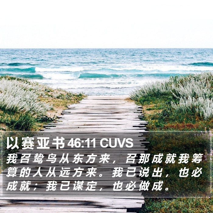 以 赛 亚 书 46:11 CUVS Bible Study