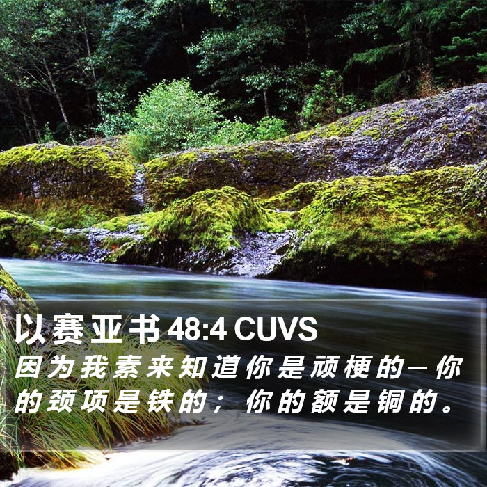 以 赛 亚 书 48:4 CUVS Bible Study