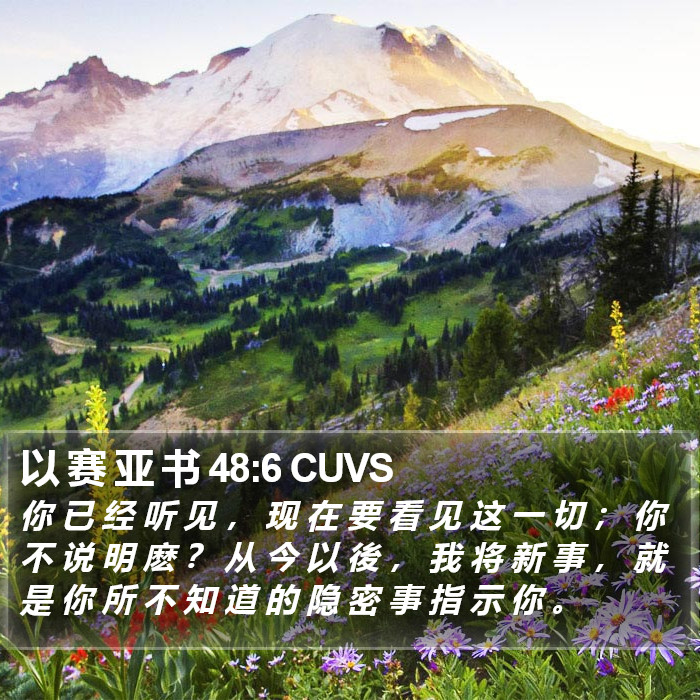 以 赛 亚 书 48:6 CUVS Bible Study