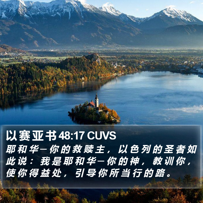 以 赛 亚 书 48:17 CUVS Bible Study