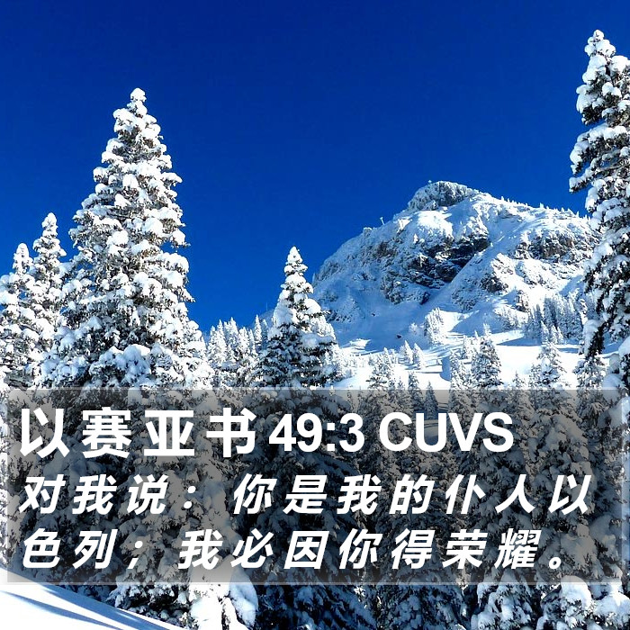 以 赛 亚 书 49:3 CUVS Bible Study