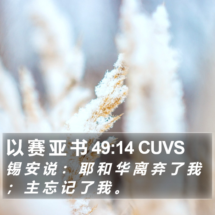 以 赛 亚 书 49:14 CUVS Bible Study