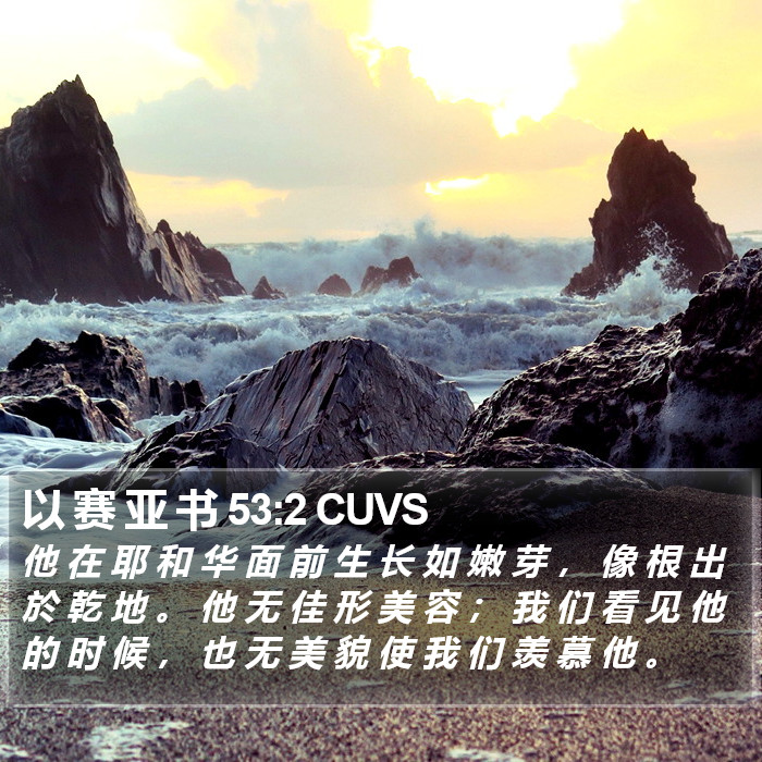 以 赛 亚 书 53:2 CUVS Bible Study