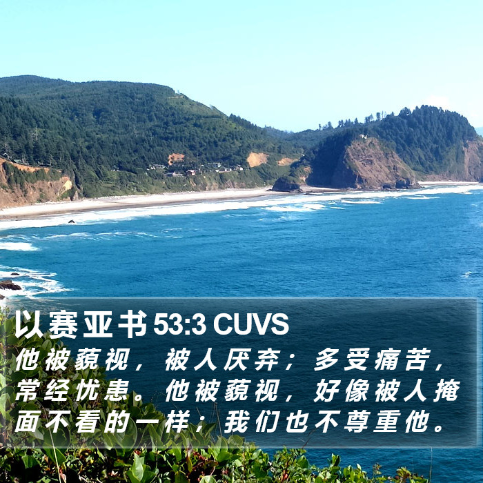 以 赛 亚 书 53:3 CUVS Bible Study