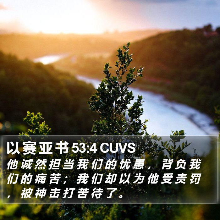 以 赛 亚 书 53:4 CUVS Bible Study