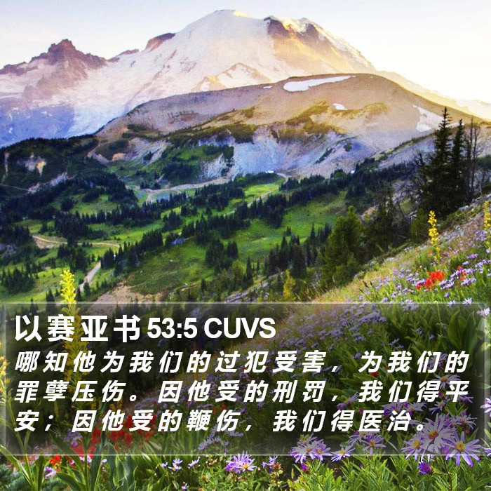 以 赛 亚 书 53:5 CUVS Bible Study