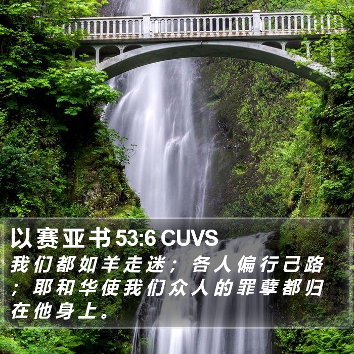 以 赛 亚 书 53:6 CUVS Bible Study