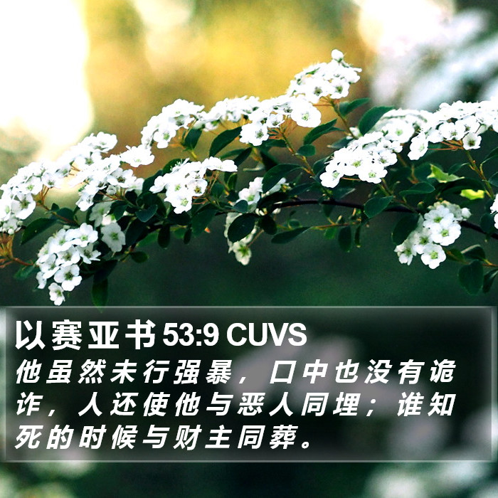 以 赛 亚 书 53:9 CUVS Bible Study