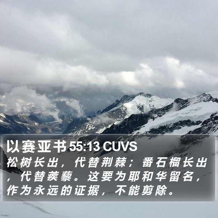 以 赛 亚 书 55:13 CUVS Bible Study