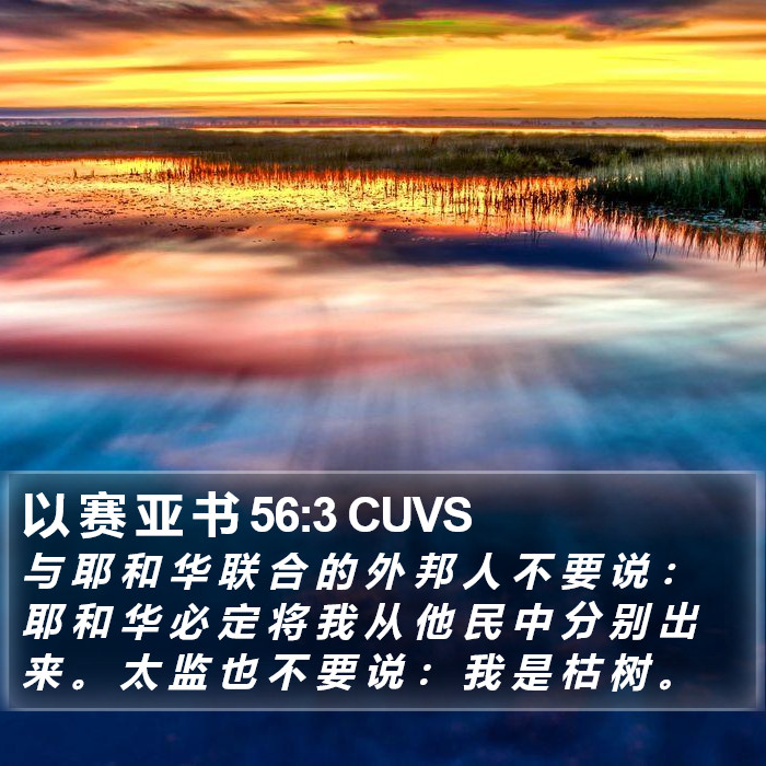 以 赛 亚 书 56:3 CUVS Bible Study