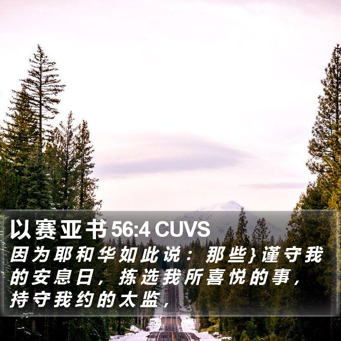 以 赛 亚 书 56:4 CUVS Bible Study