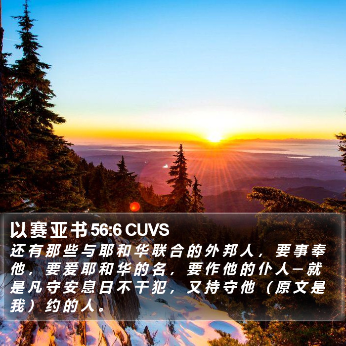 以 赛 亚 书 56:6 CUVS Bible Study