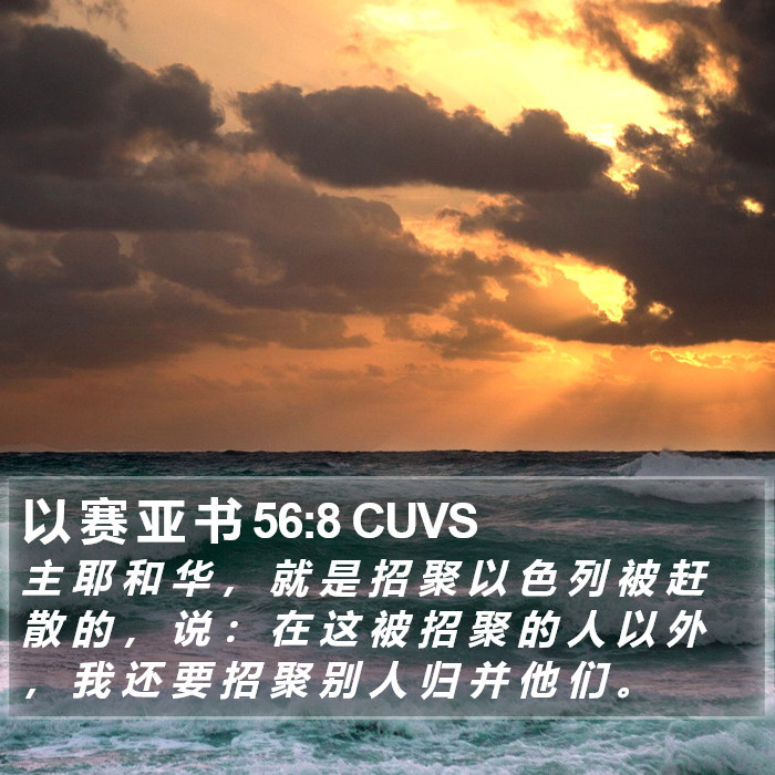 以 赛 亚 书 56:8 CUVS Bible Study