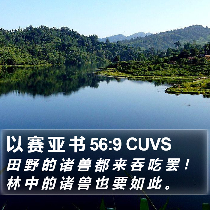 以 赛 亚 书 56:9 CUVS Bible Study