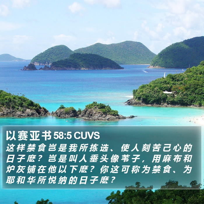 以 赛 亚 书 58:5 CUVS Bible Study