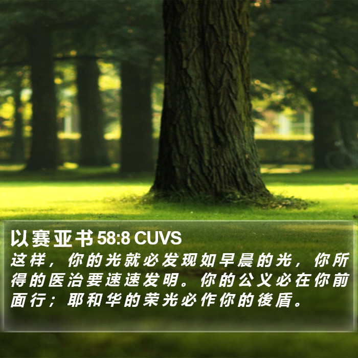 以 赛 亚 书 58:8 CUVS Bible Study